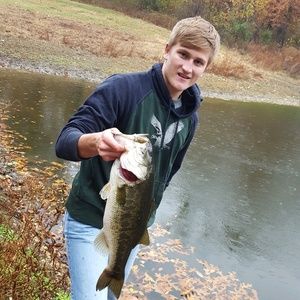 Meet your Posher, Austin